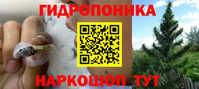 прущая мука Аша