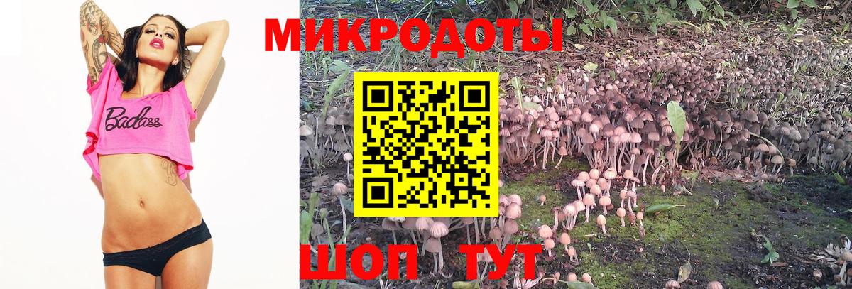 Галлюциногенные грибы Magic Shrooms  Вход с VPN  Галлюциногенные грибы Psilocybe  Ишим 